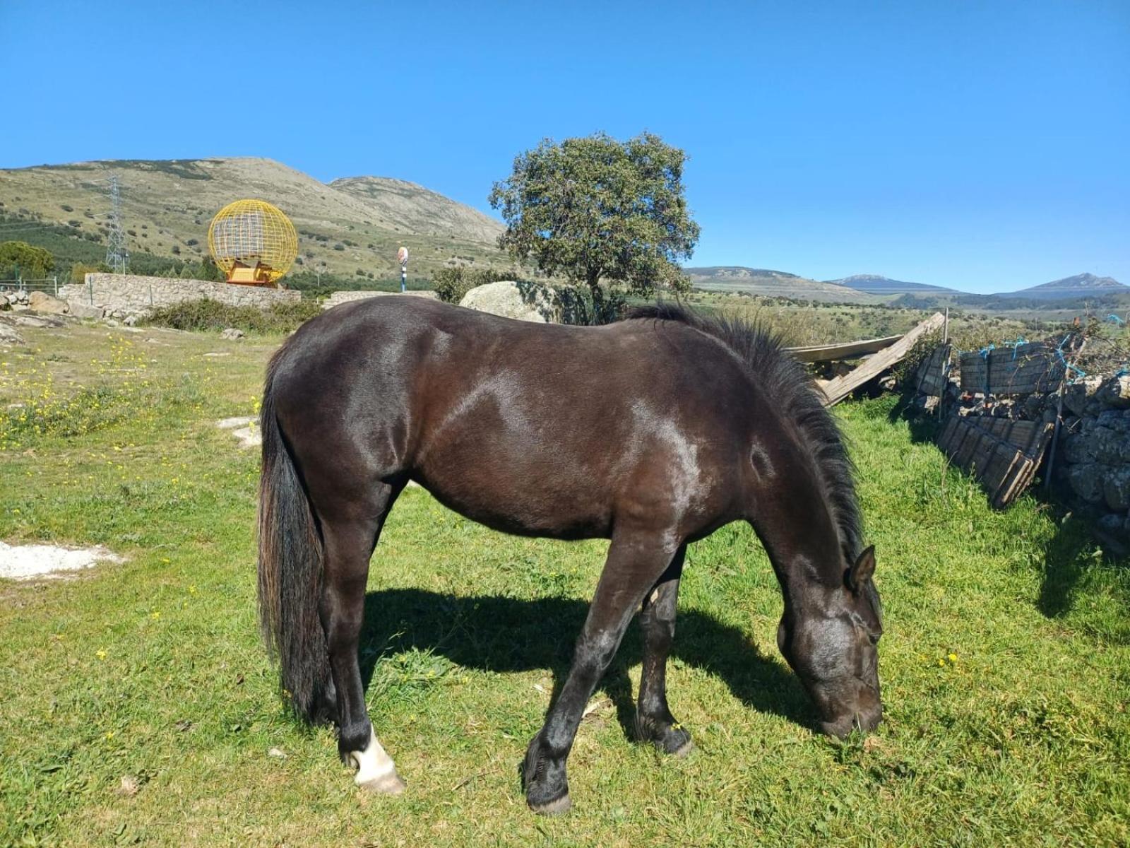 Bungalow Bambolera Torrelaguna Dış mekan fotoğraf