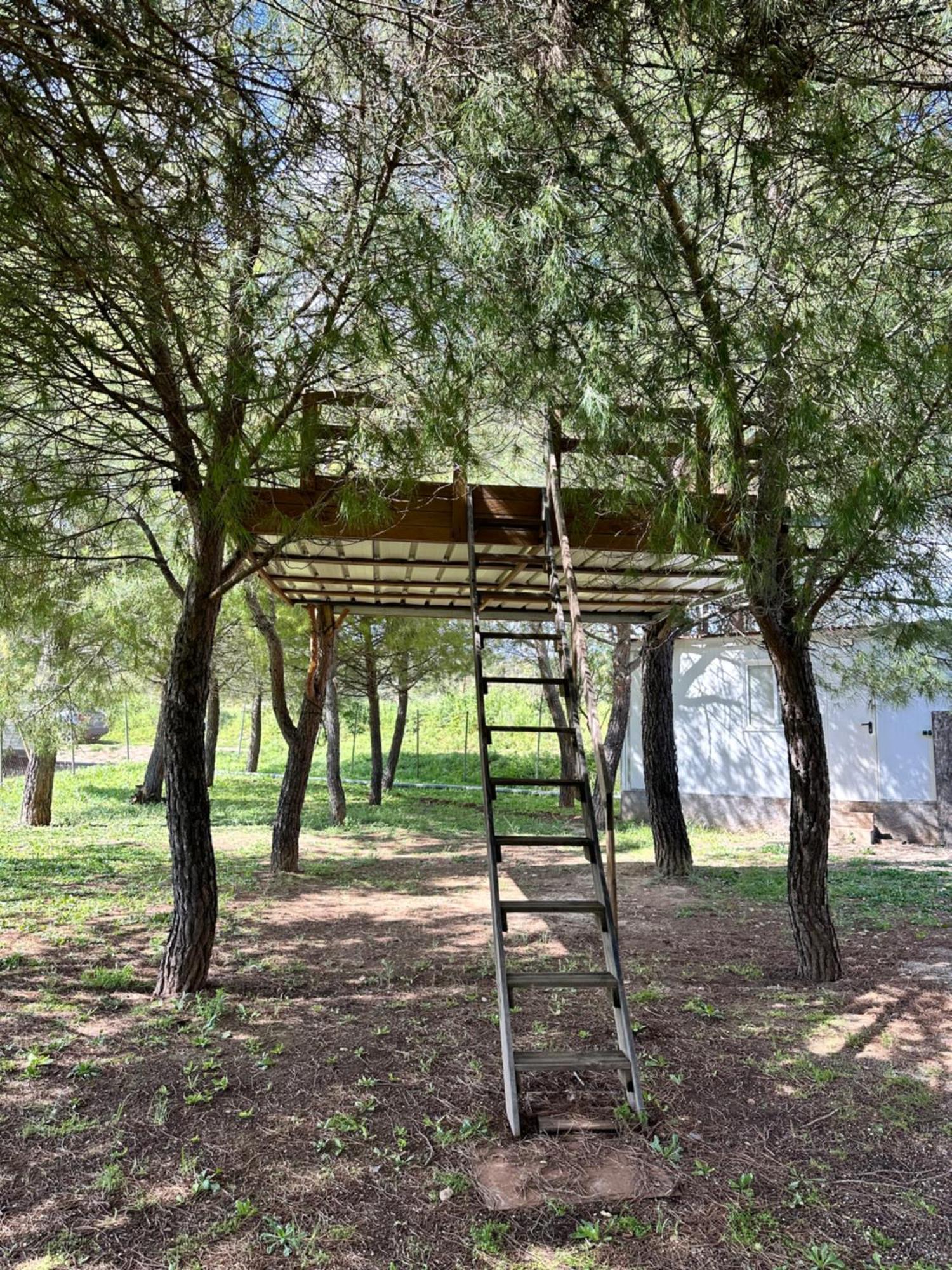 Bungalow Bambolera Torrelaguna Dış mekan fotoğraf