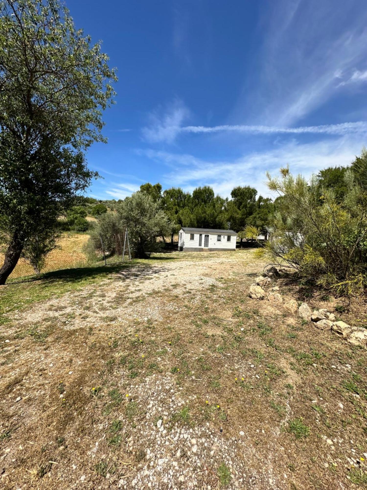 Bungalow Bambolera Torrelaguna Dış mekan fotoğraf