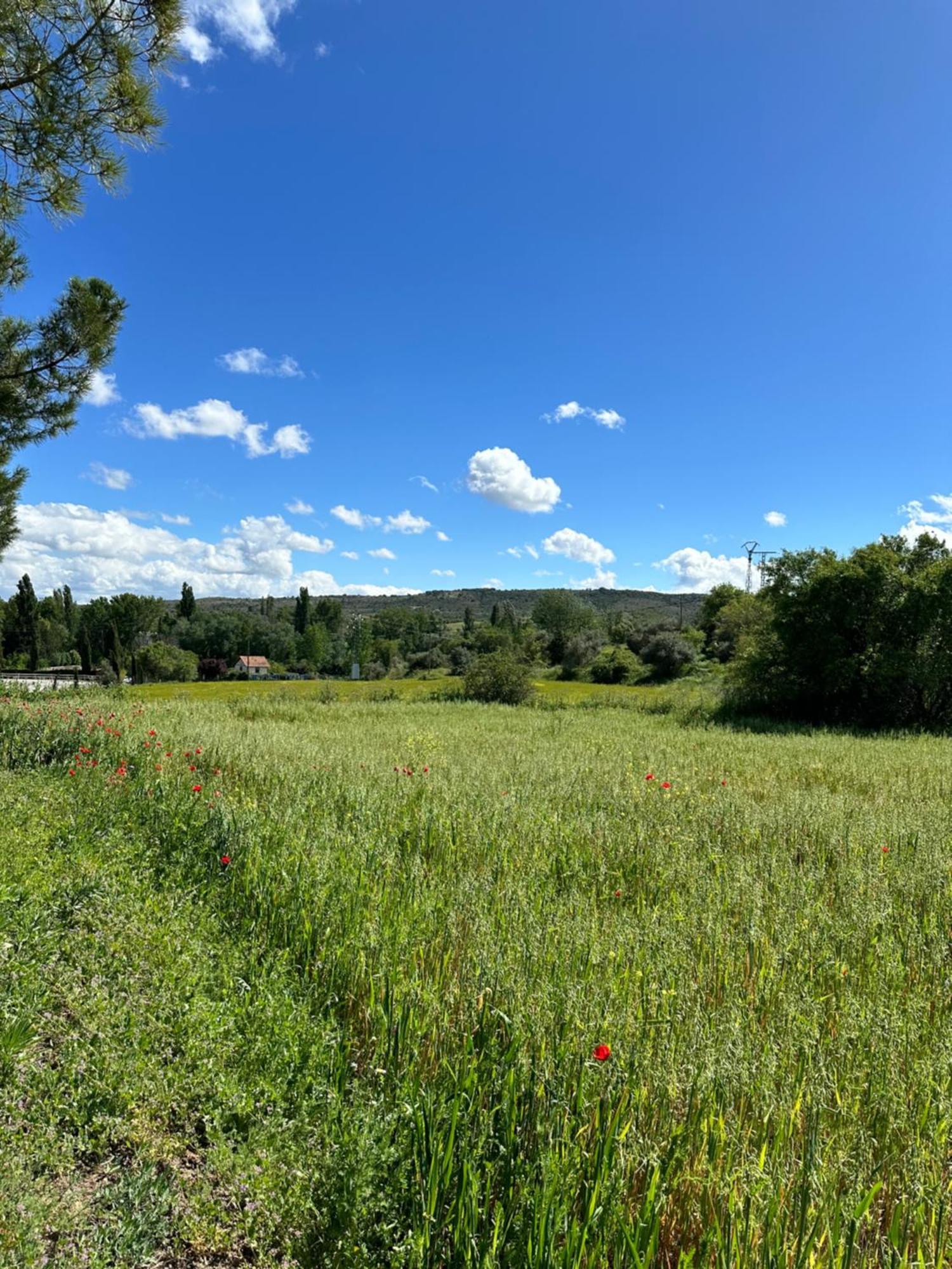 Bungalow Bambolera Torrelaguna Dış mekan fotoğraf