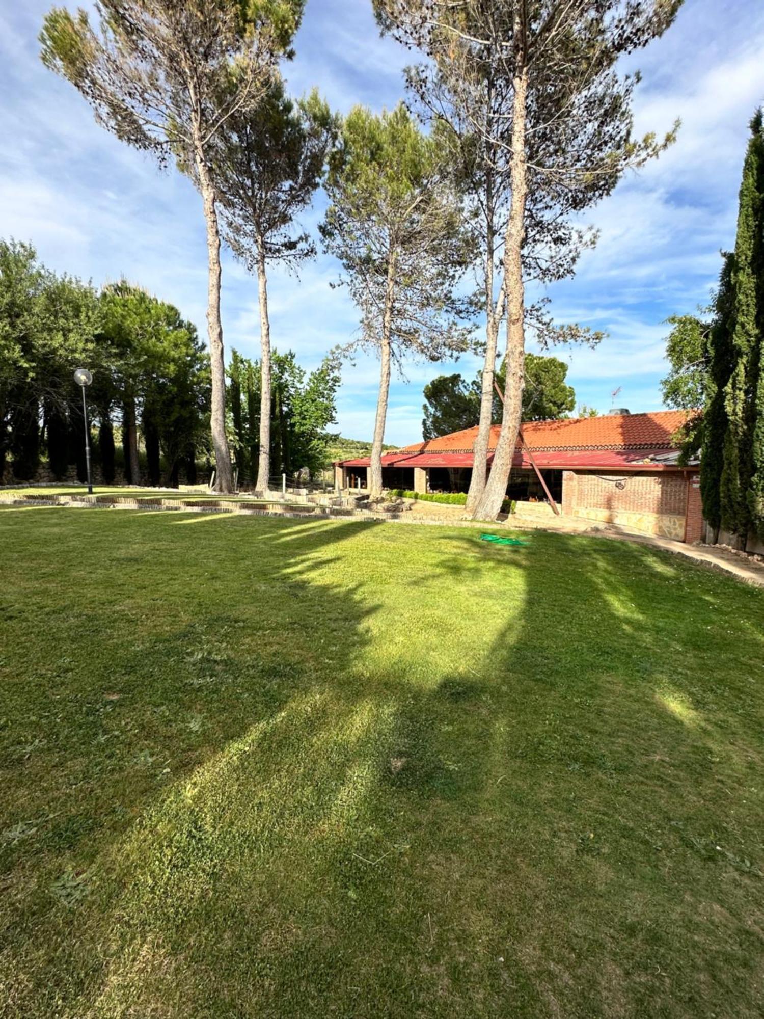 Bungalow Bambolera Torrelaguna Dış mekan fotoğraf