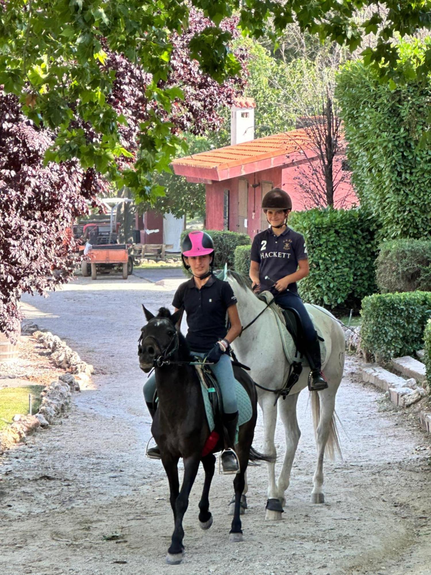 Bungalow Bambolera Torrelaguna Dış mekan fotoğraf