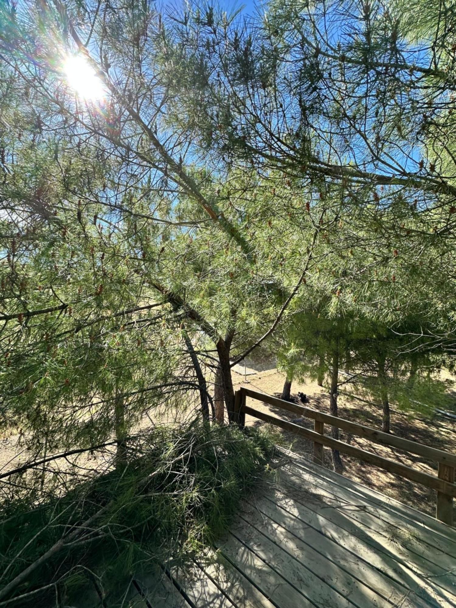 Bungalow Bambolera Torrelaguna Dış mekan fotoğraf